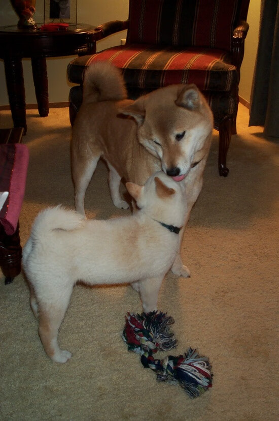 阿圭罗化身关键先生！奥地利3-0英格兰震惊欧洲足坛