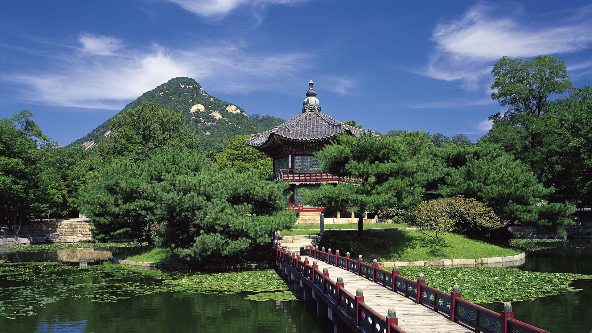 沉默的狩猎者，热火的战术熔炉与福克斯的淬火时刻