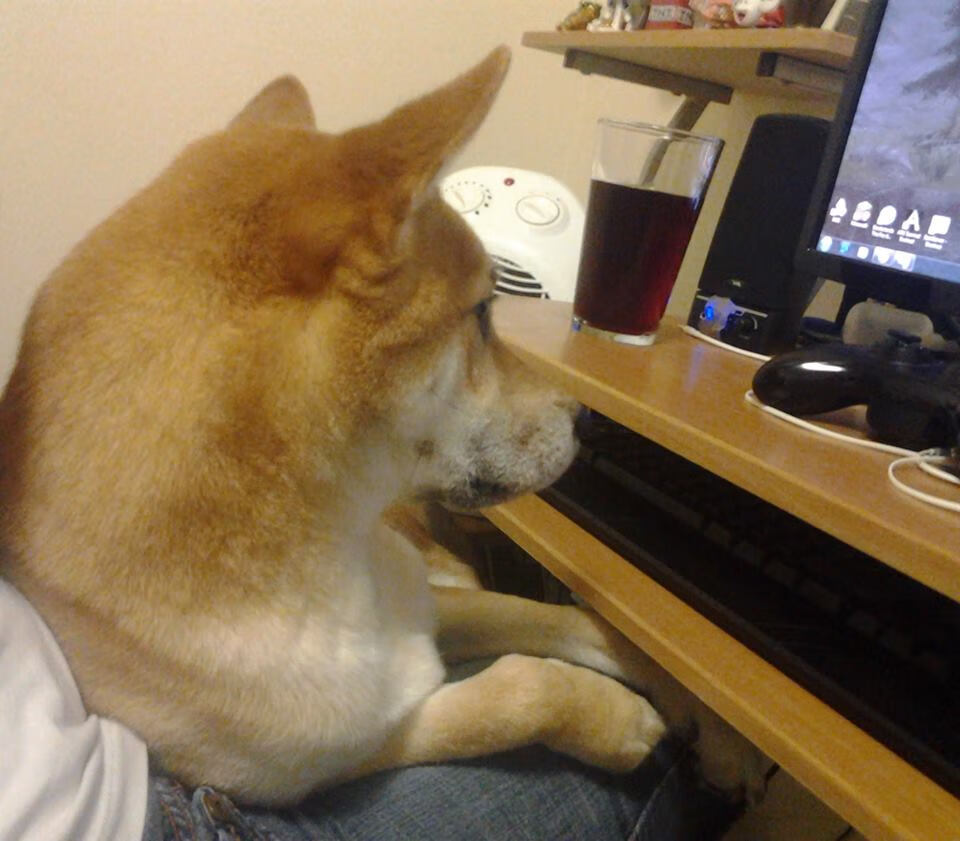 燎原与神启，论团队压制与个人英雄主义的唯一性辩证