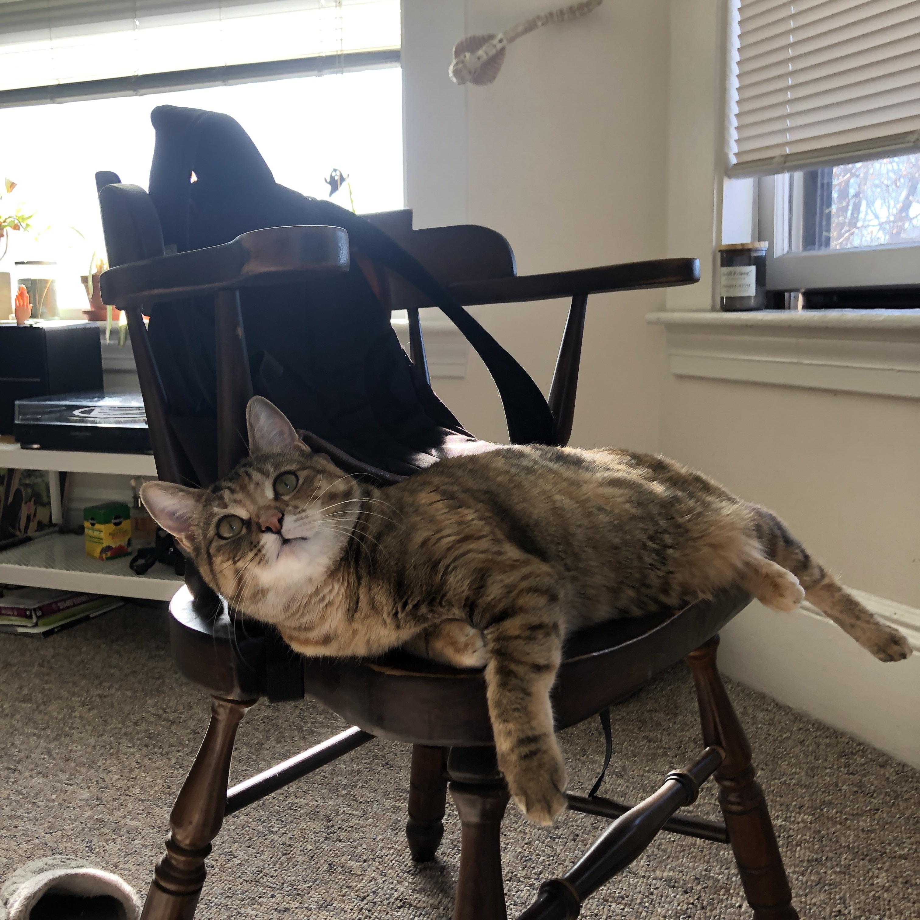 悬疑开场，奇迹收尾，几内亚逆袭威尔士，布鲁诺导演历史性胜利