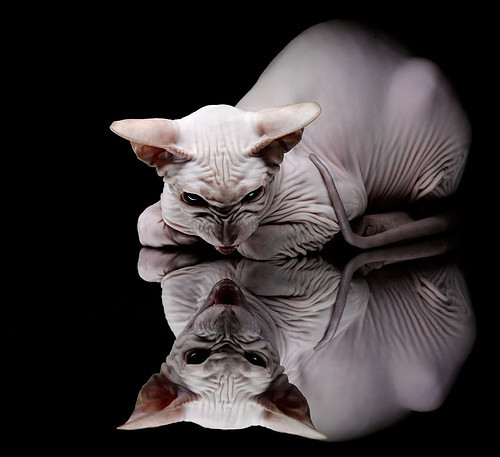 最后一击，38岁的詹姆斯为何依然让时间凝固