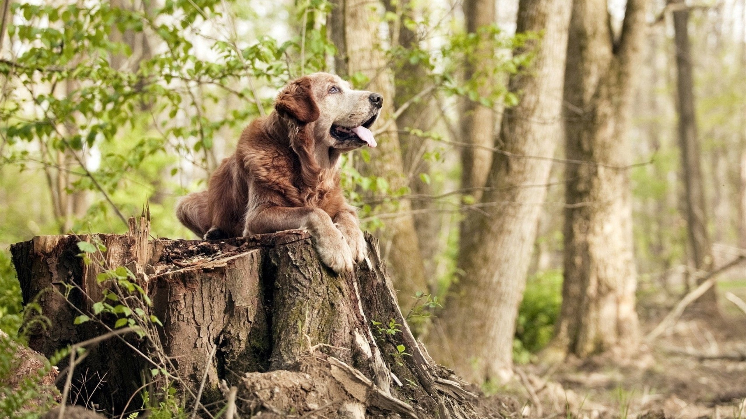 西甲国家德比之夜，从切尔西弃将到巴萨英雄，坎特如何完成唐吉诃德式的现实救赎