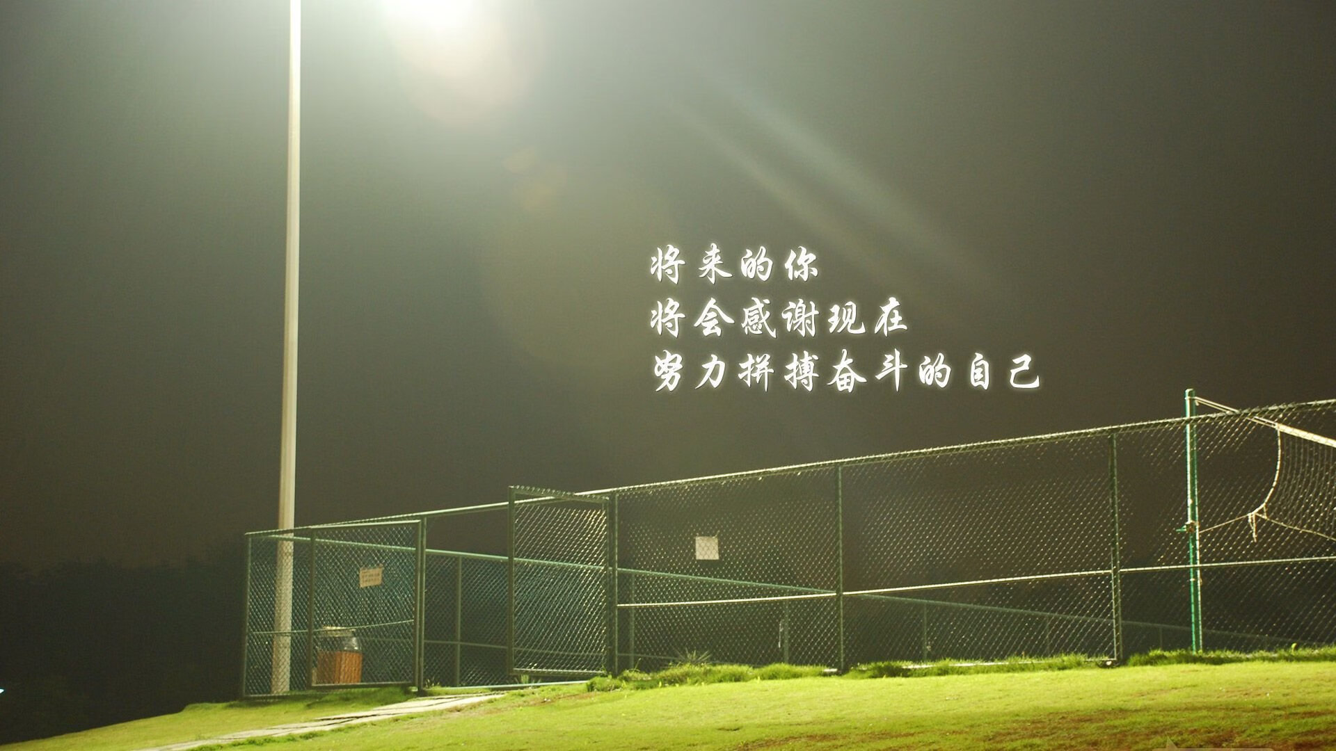 以下是为你构思的标题与文章